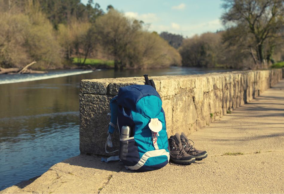 camino de santiago